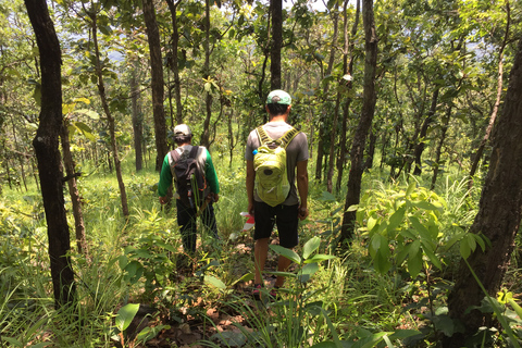 De Chiang Mai: Caminhada de um dia na alta montanhaDe Chiang Mai: Trilha de 1 Dia na Montanha