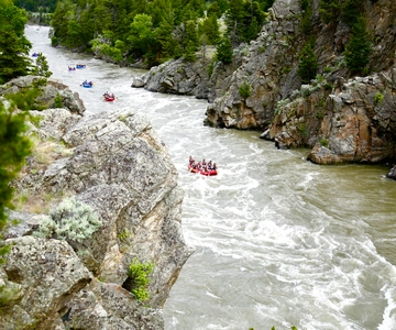Gardiner: Yellowstone River Halb-Tages-Wildwasser-Rafting