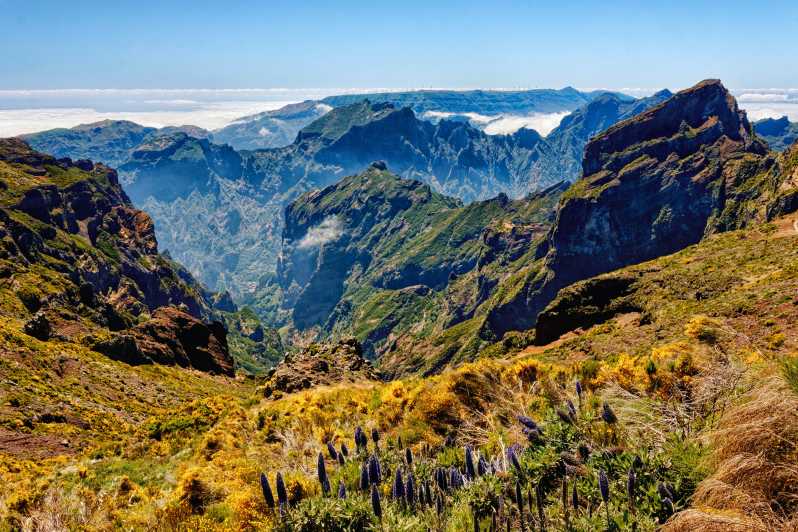 Funchal: tour guidato dell'isola di Madeira orientale e passeggiata Laurissilva