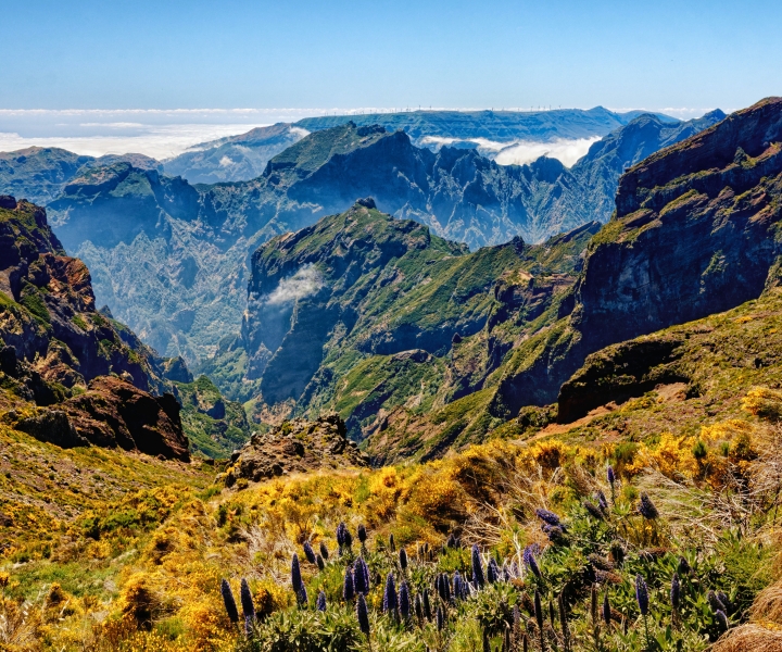 Funchal: wycieczka z przewodnikiem po wschodniej Maderze i spacer po lesie wawrzynowym
