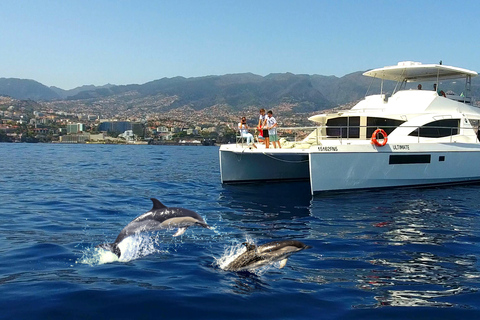 Tour de lujo de avistamiento de ballenas y delfines todo incluido