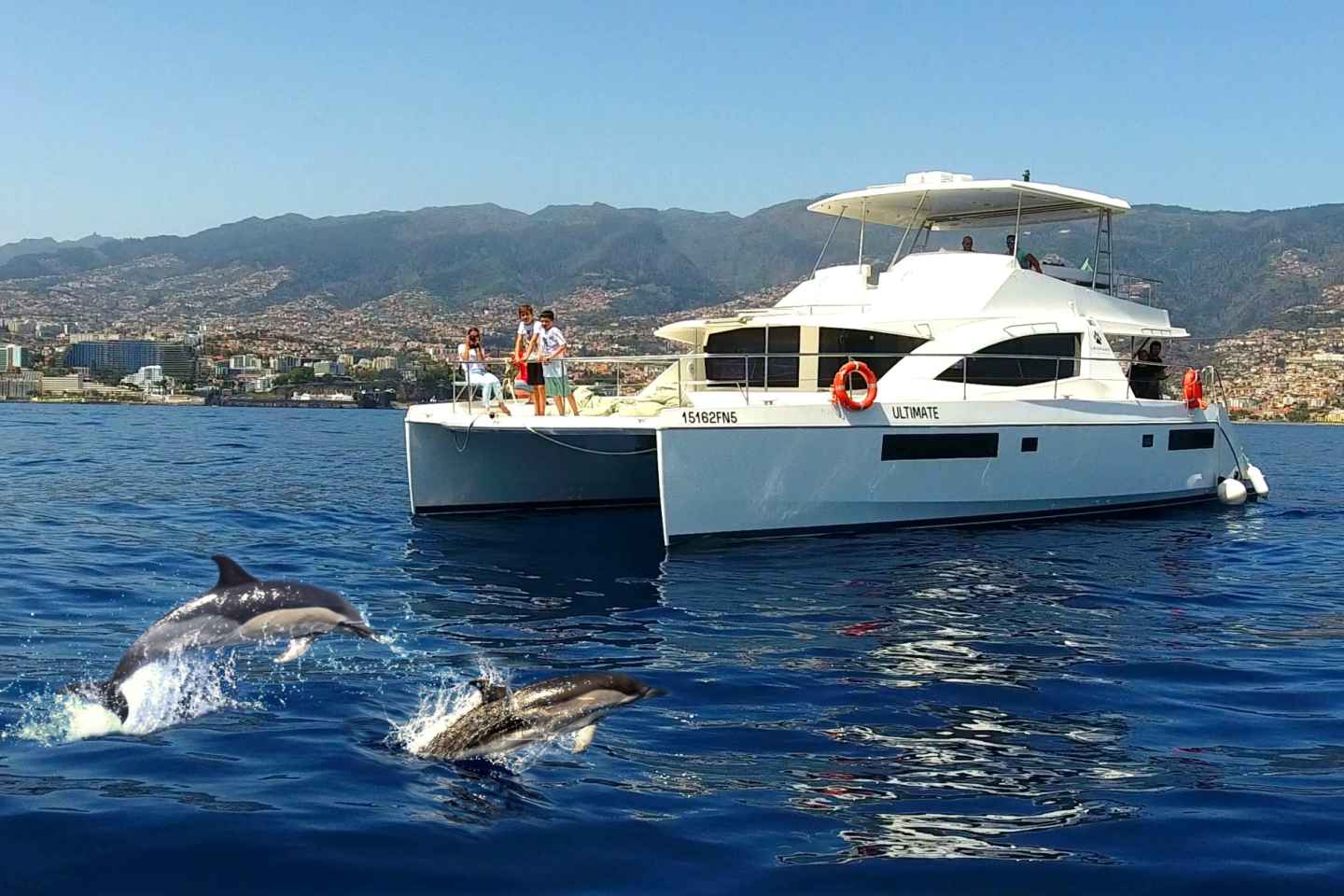 Funchal: All-inclusive Wal- und Delfin-Watching-Luxustour