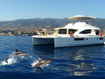 All Inclusive Whale and Dolphin Watching Luxury Tour