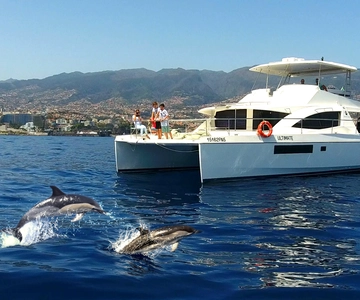 All Inclusive Whale and Dolphin Watching Luxury Tour