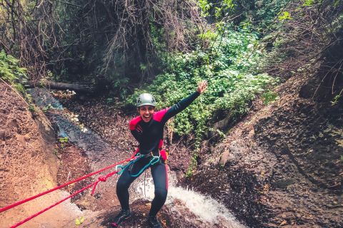 Gran Canaria: Canyoning in the Rainforest