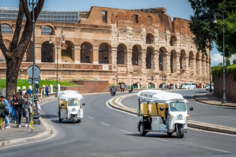 Rom: Private Stadtrundfahrt mit elektrischem Tuk Tuk und Transfer