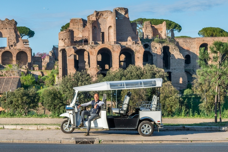 Rzym: Prywatna wycieczka po mieście przez Electric Tuk Tuk z transferem