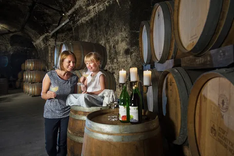 Vienna: Wine Tasting E-Bike Tour