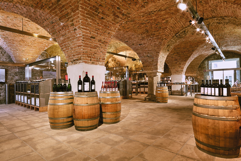 Vienne: visite de dégustation de vin en vélo électrique