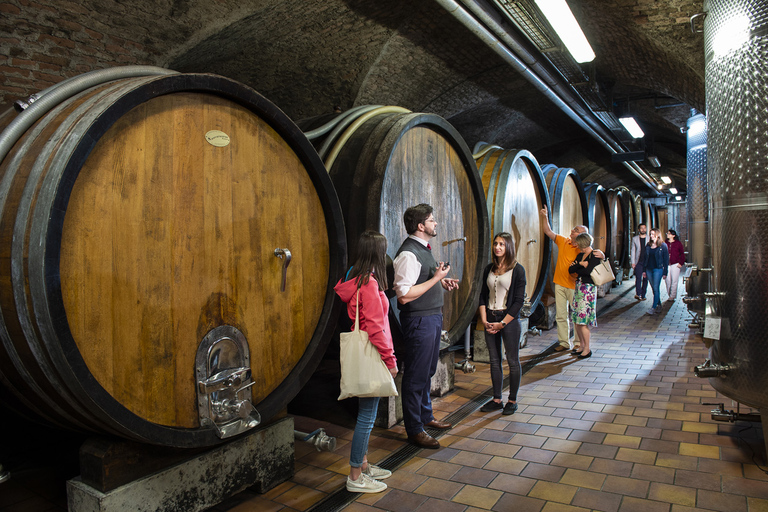 Vienne: visite de dégustation de vin en vélo électrique