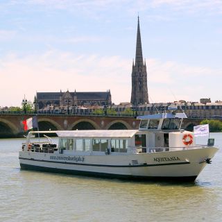Bordeaux: crociera guidata sul fiume Garonna