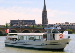 Wat te doen in Bordeaux - Bordeaux: begeleide cruise op de rivier de Garonne