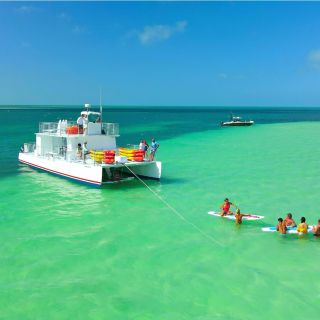 Key West: escursione al banco di sabbia e tour in kayak con pranzo e bevande
