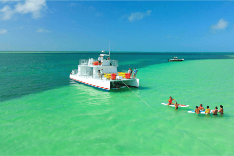 Key West: Sandbar Excursion & Kayak Tour met lunch en drankjes