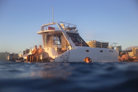 Honolulu: crucero privado en catamarán al atardecer con guía