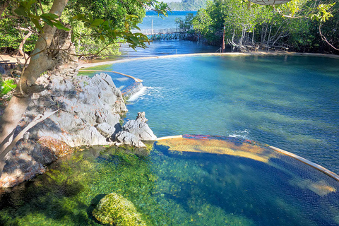 Tour della città di Coron: Maquinit Hot SpringTour della città di Coron: Maquinit Hot Spring e pranzo