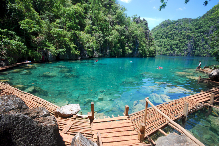 De Coron: croisière de plongée avec tuba sur l'île de Malcapuya et le récif