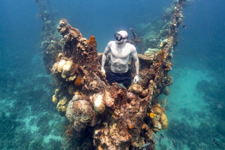 Z Coron: Malcapuya Island i Reef Snorkeling Cruise