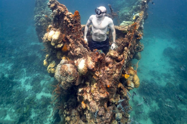 De Coron: croisière de plongée avec tuba sur l'île de Malcapuya et le récif