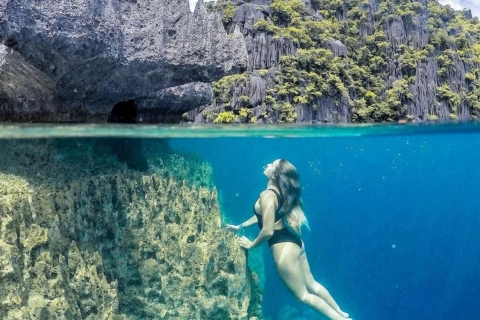 Z Coron: Malcapuya Island i Reef Snorkeling Cruise