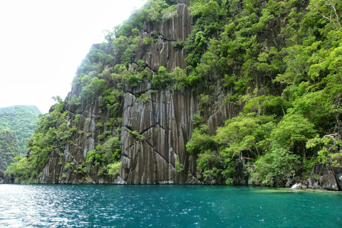 De Coron: croisière de plongée avec tuba sur l'île de Malcapuya et le récif