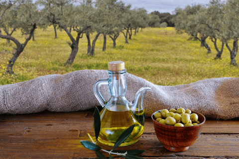 D'Athènes: excursion privée d'une journée à la production d'huile d'olive et au vin