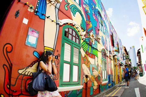 Singapur: visita guiada a pie por Chinatown y Little India