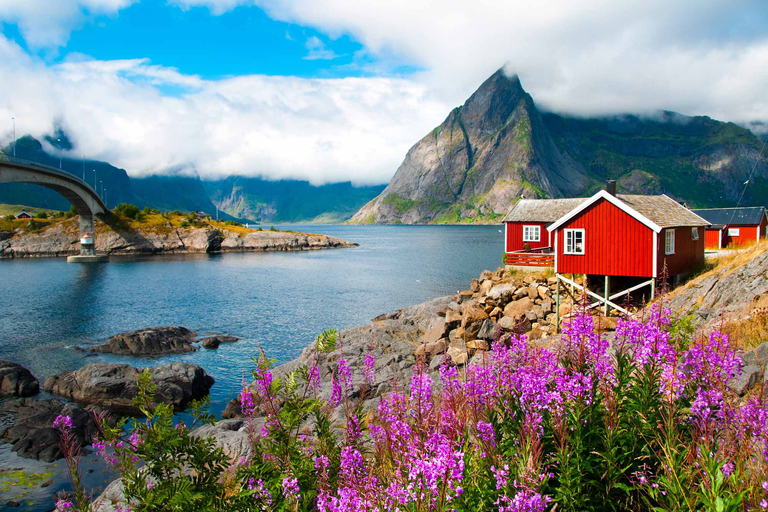 Speciale rondvaart met gids in de zomer op Lofoten