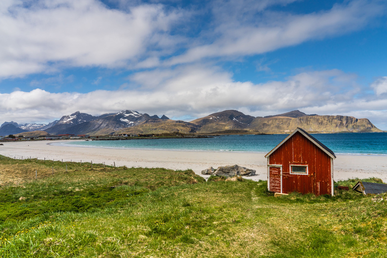 Speciale rondvaart met gids in de zomer op Lofoten
