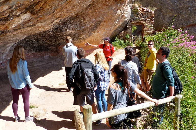 Van Barcelona: Montserrat-dagtrip met begeleide wandeling