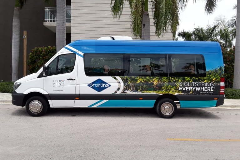 Punta Cana: enkele reis privétransfer van of naar de luchthaven