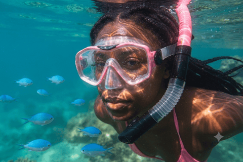 Barcelona: Hidden Marine World Snorkeling Experience