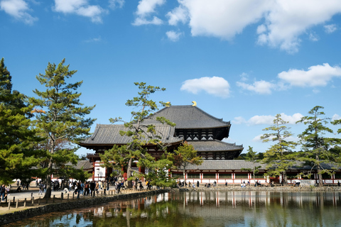 Nara Tour privado de día completo con guía culinario