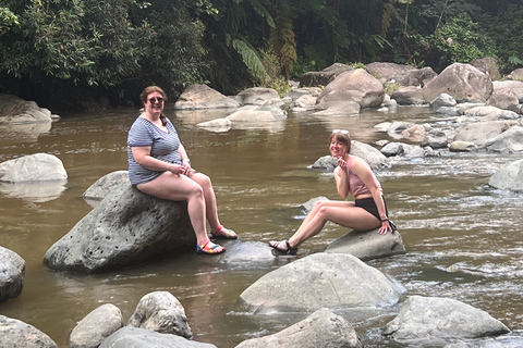 San Juan / Caroline: excursion dans la forêt nationale d'El Yunque avec randonnée