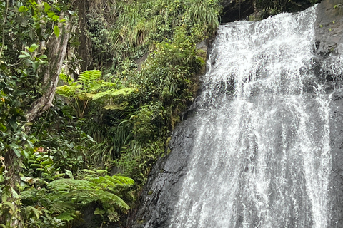 San Juan / Caroline: excursion dans la forêt nationale d'El Yunque avec randonnée