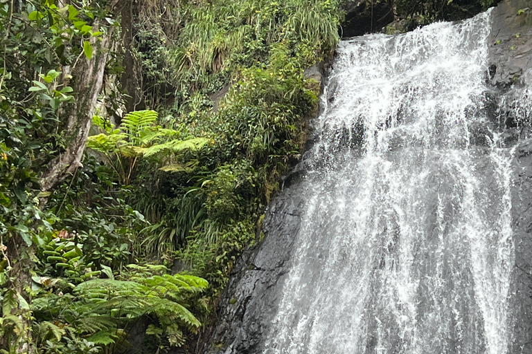 San Juan/Carolina: El Yunque National Forest Trip with Hike