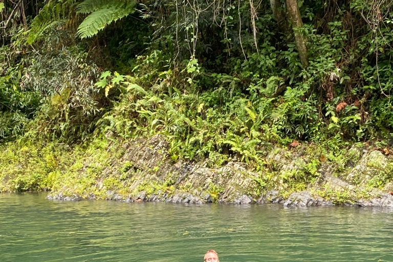 San Juan/Carolina: El Yunque National Forest Trip met wandeling