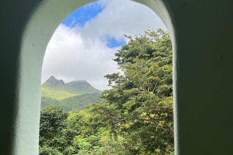 San Juan/Carolina: El Yunque National Forest Trip met wandeling