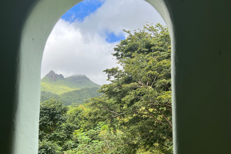 San Juan/Carolina: El Yunque National Forest Trip met wandeling