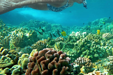 Coron: visite de l'île privée du lac Barracuda et de Smith Beach