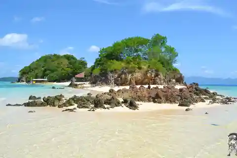 From Coron: Private Island-Hopping Cruise with Lunch