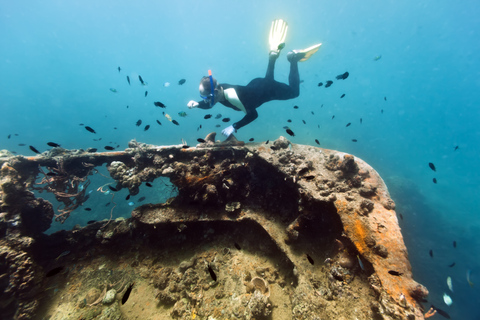 Coron Private Tour D: Reef and Wrecks