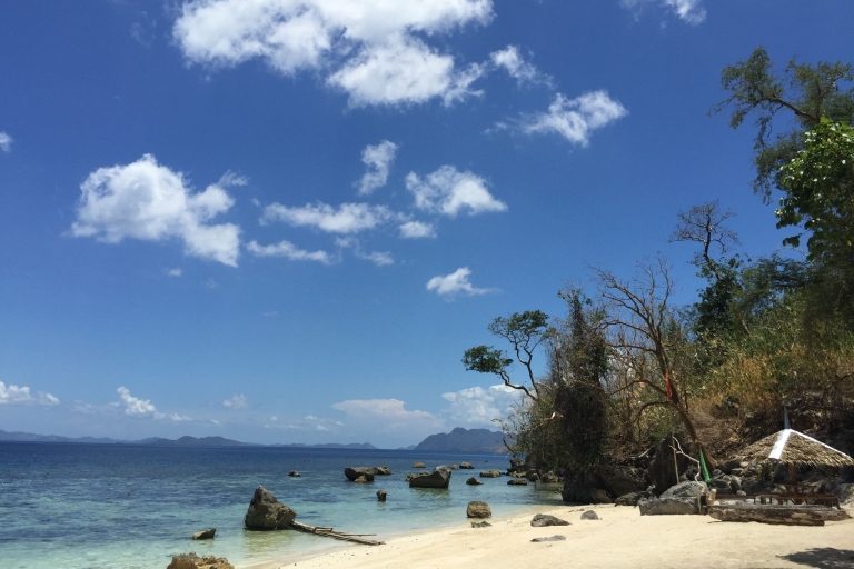 Coron: prywatna wycieczka na wyspę Malcapuya, rafę i plaże
