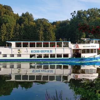 Heilbronn: River Cruise to/from Neckarzimmern