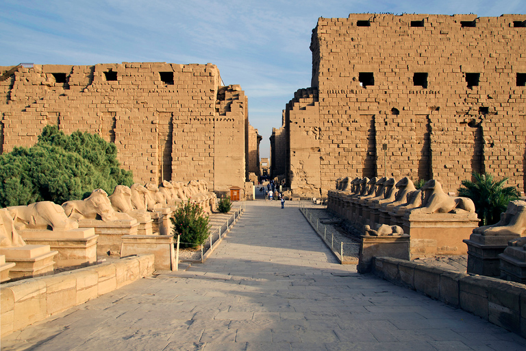 Do Cairo: viagem privada de avião a Luxor e balão de ar quente