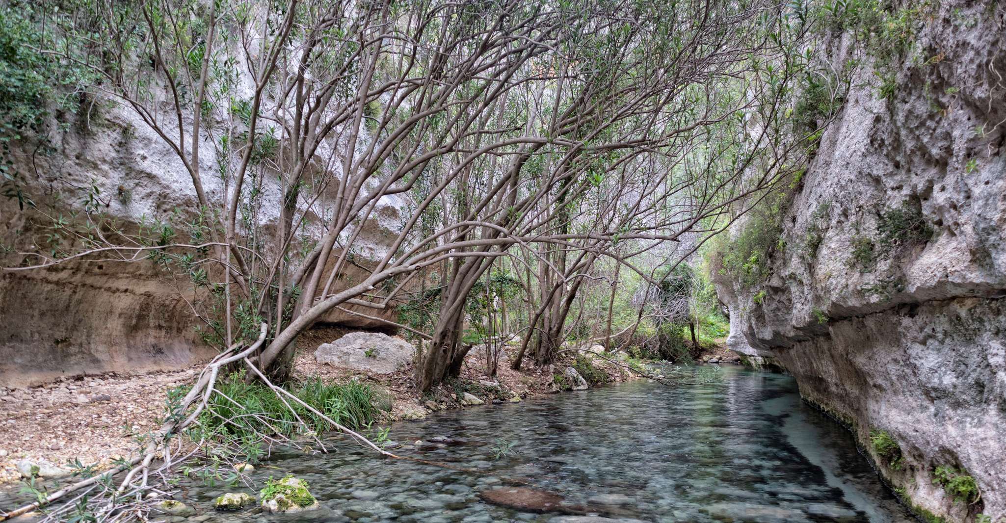 From Siracusa, Pantalica Nature Reserve Guided Hiking Tour - Hizvo