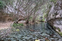 From Siracusa, Pantalica Nature Reserve Guided Hiking Tour - Hizvo