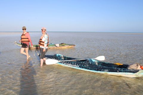 Holbox: tour guidato in kayak all'alba attraverso la riserva di mangrovie
