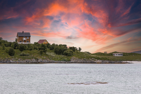 Tromso: expedición guiada por el fiordo e isla de Kvaløya con almuerzo