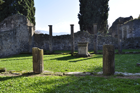 From Naples: Pompeii and Wine Tasting Tour with Lunch